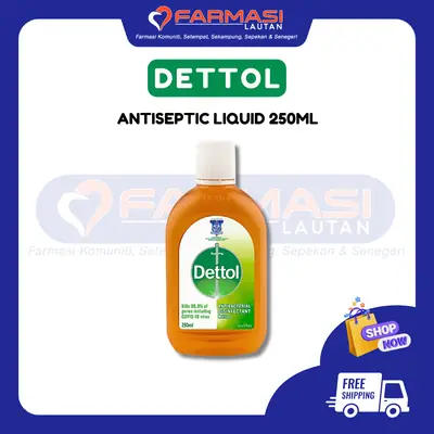 DETTOL ANTISEPTIC GERMICIDE 250 ML
